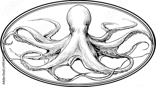 Detailed illustration of an octopus in an oval frame; intricate linework, black and white