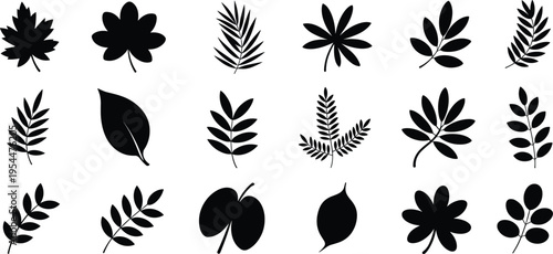 Collection of black leaf silhouettes featuring various botanical foliage shapes, plant elements and nature inspired icons isolated on white background for vector design use