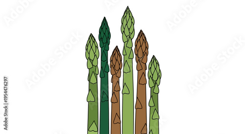 Stylized Flat Vector Illustration of Fresh Asparagus Spears in Various Green and Brown Shades Isolated on White Background