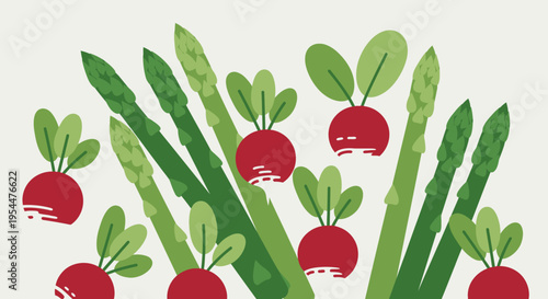 Minimalist Flat Vector Illustration of Fresh Spring Vegetables Asparagus and Red Radishes