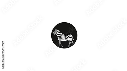 Striking zebra portrait