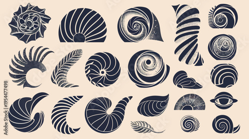 Assorted vintage nautical patterns on beige background, nautilus shells, one eye, feathers