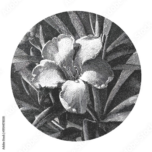Abstract monochromatic brush-stroke image of a flower enclosed in a circle frame