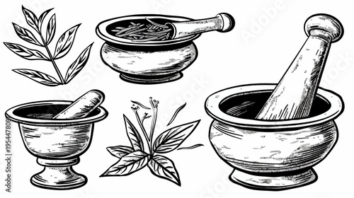Sketch of mortars, pestles, and plant sprigs, black and white, detailed line art