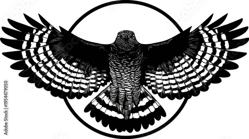 Graphic illustration of an eagle in flight, featuring bold black and white contrasts