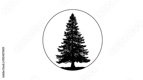 Evergreen Tree Silhouette