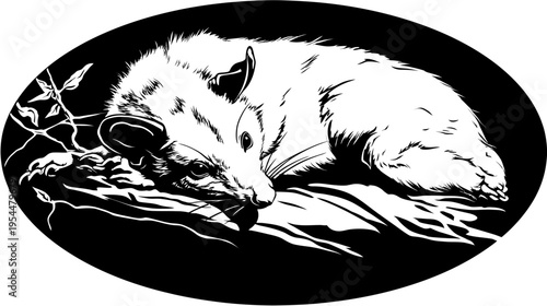 High-contrast art of a resting opossum on a branch, surrounded by a black oval field