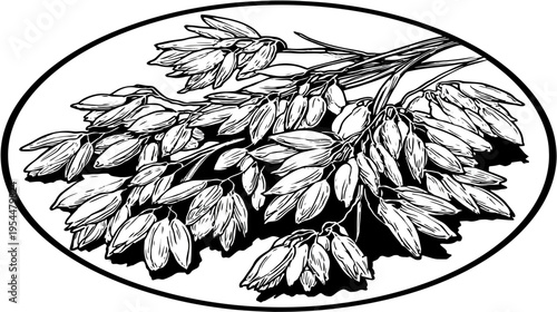 Black and white oval illustration with clusters of grain or seed pods