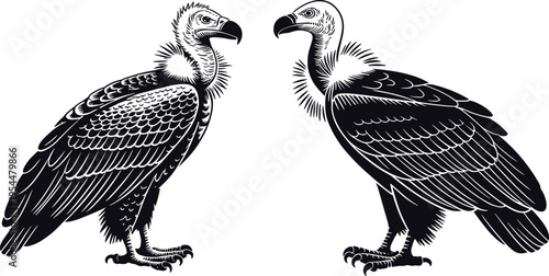 Detailed vulture bird illustration in vintage engraving style, showing two scavenger birds facing each other, symbolizing wildlife, nature, survival, predator species and ecological balance