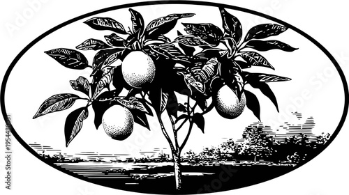 Orchard vignette displays fruit tree, lake, and trees inside an oval frame