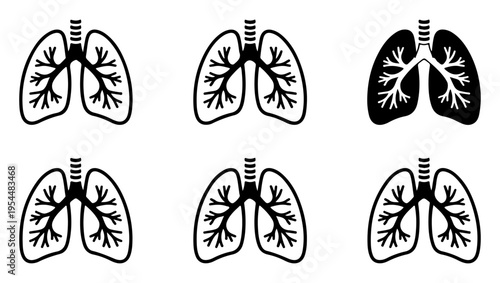Anatomical illustration of human lungs in varying shades of detail