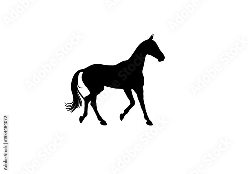 Horse Silhouette Running Animal Vector Illustration Isolated on White Background