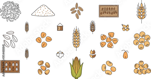 Grain and cereal crops vector set featuring wheat rice corn seeds harvest elements and agricultural products in flat illustration collection for farming design