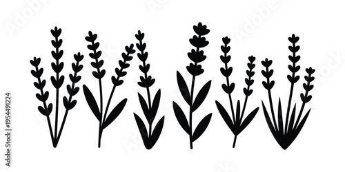 Black silhouettes of various plants with heart shaped leaves on white background