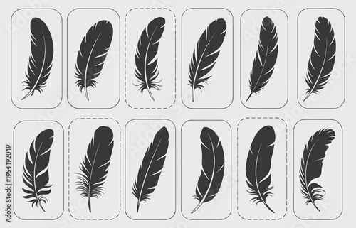 Black and white educational puzzle illustration featuring twelve feather designs with missing outlined shapes for visual recognition, cognitive exercise, and pattern matching activity.