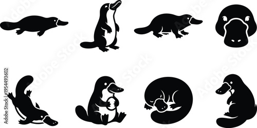 Platypus Silhouette Icon Set Featuring Various Poses of the Australian Monotreme; Minimalist Flat Vector Graphics for Nature Branding, Wildlife Conservation, and Educational Design