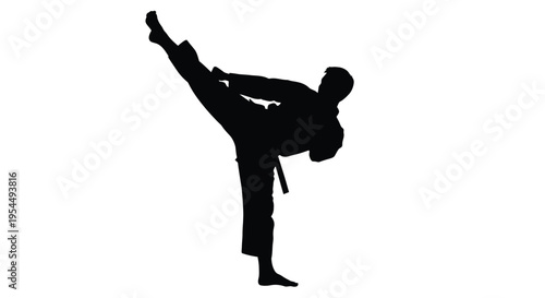 Martial artist performing a high kick in a dynamic pose silhouette