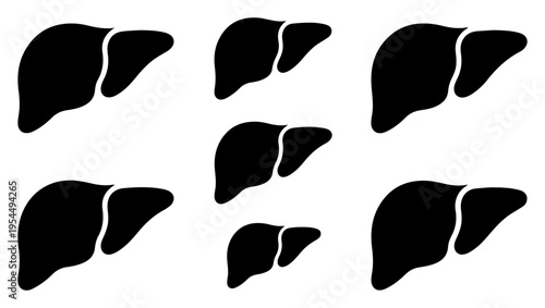 Illustration of a human liver composed of several lobes anatomy depiction
