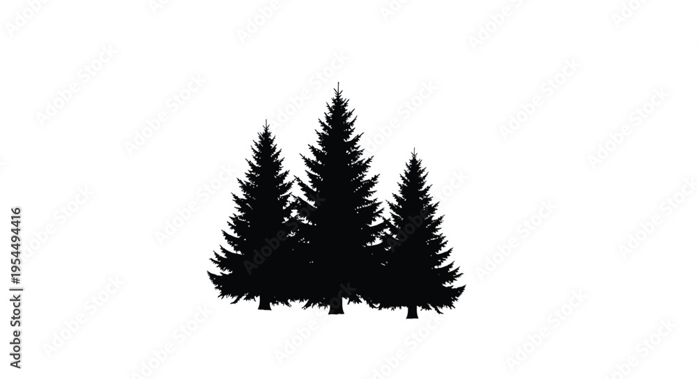 Obraz premium Three dark evergreen trees stand against a plain white background silhouette
