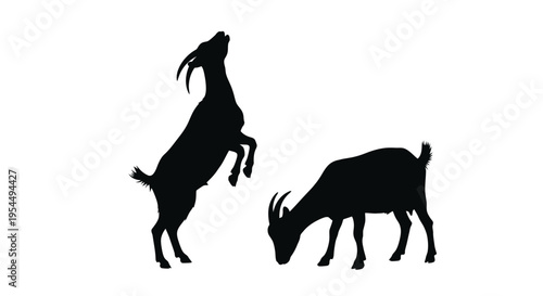 Two goats in a dynamic pose captured as a striking silhouette