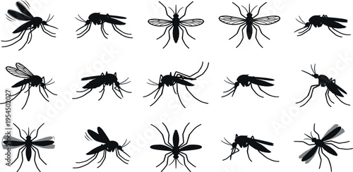 Collection of mosquito silhouettes in various poses and angles, showcasing their distinct insect anatomy and aerial forms