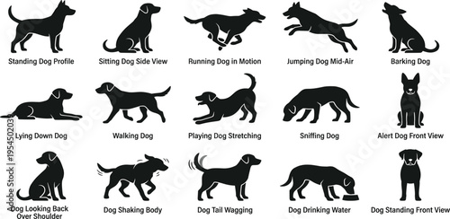 Explore a diverse conceptual collection of dog silhouettes, illustrating various canine behaviors, actions, and poses from standing to playing, perfect for design resources
