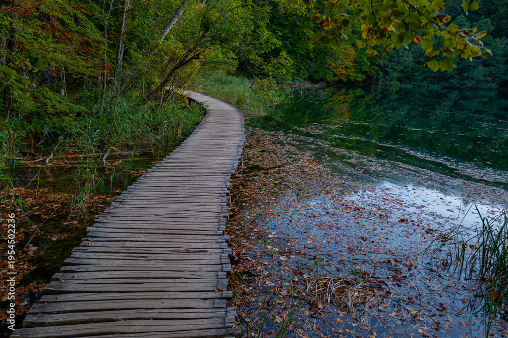 Fototapeta premium Wooden boardwalk through forest nature. Scenic forest path with wooden walkway. Travel path along lake in forest. Boardwalk in autumn woodland. Peaceful forest trail with wooden boardwalk.