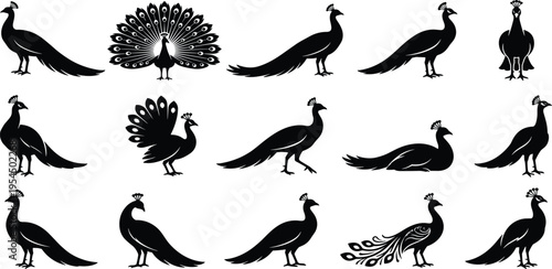 Collection of various stylized silhouettes of peacocks in different poses