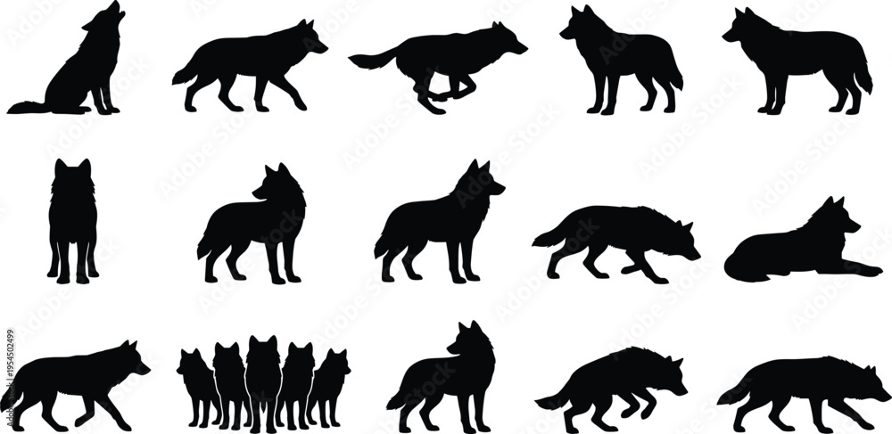 Fototapeta premium Dynamic collection of black wolf silhouettes capturing various poses and actions, ideal for wildlife themes, vector graphics, and animal-themed design projects