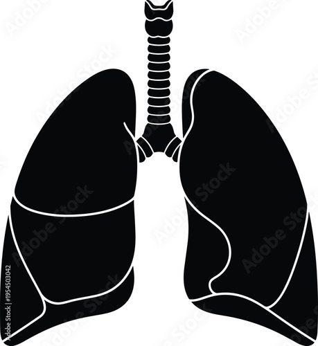 Human lungs anatomy icon isolated on white background, black silhouette vector of respiratory system, concept of health, breathing, medicine, pulmonary.