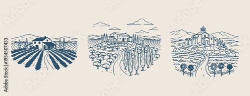 Vineyard landscape and winery sketch, Rural countryside farm illustration, Agriculture and grape fields drawing, Tuscany style nature landscape art, Mediterranean village scenic view, Outdoor nature a