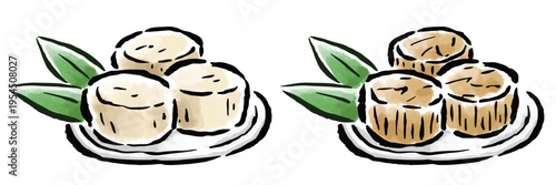 ホタテ　貝柱の刺身と干し貝柱　筆タッチ手描きイラスト