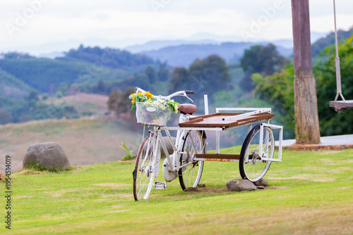 A white bicycle in a forest with beautiful mountain scenery; stunning mountain views and lush green valleys.