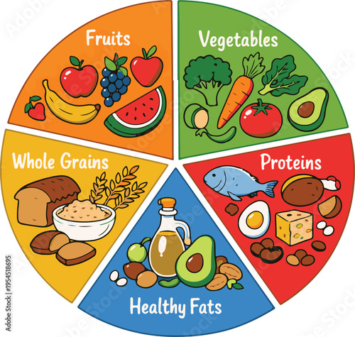Balanced Diet Food Wheel Illustration with Fruits, Vegetables, Proteins and Carbohydrates