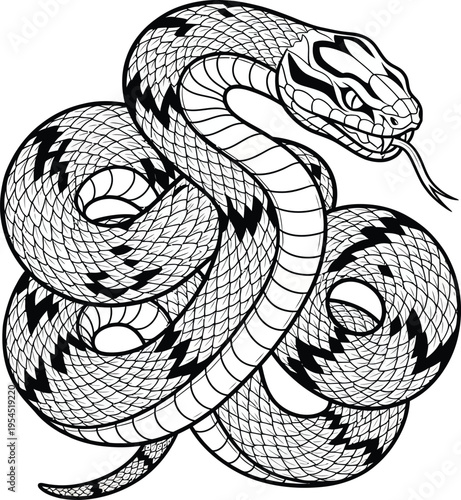 Detailed Black and White Illustration of a Coiled Rattlesnake.