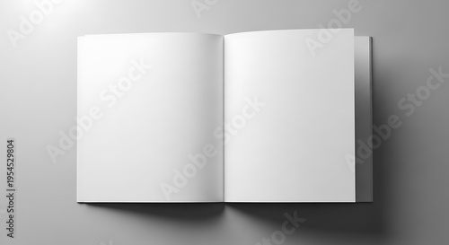 A grayscale image of an open book with blank pages on a gray surface with shadows