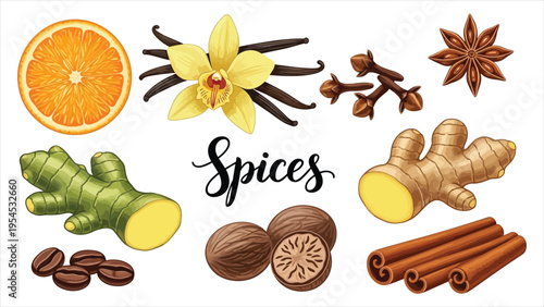 Stylized Spices Set – Vector Illustrations of Anise, Cloves, Vanilla, Ginger, and Cinnamon