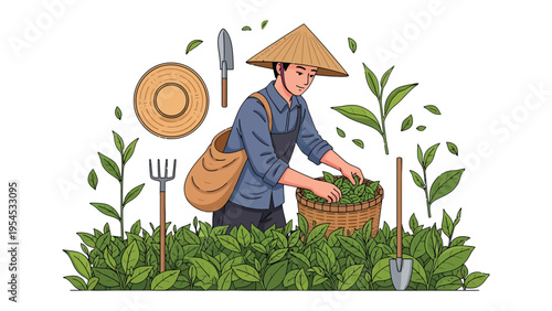 Tea Harvester at Work: A tea harvester, clad in a traditional hat, diligently gathers fresh tea leaves from a lush green tea field. Surrounded by farming tools, it's a scene of tranquil cultivation.
