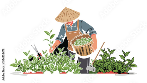 Tea Harvest in Tranquility: A dedicated tea farmer meticulously gathers tea leaves amidst a vibrant field, his actions revealing the harmony of human endeavor and the beauty of nature.