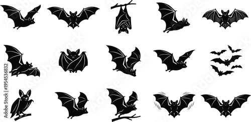 Collection of Diverse Bat Silhouettes in Various Poses and Flight Patterns