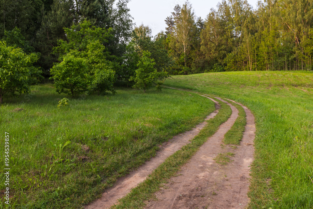 Fototapeta premium A winding dirt road curves through a lush green meadow toward the forest edge, conveying peaceful countryside atmosphere, rural travel and outdoor exploration in warm summer light