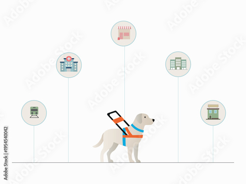 Guide dog access to public spaces infographic