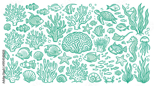 Underwater Marine Life Hand Drawn Elements Collection