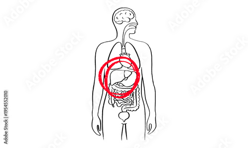Liver disease concept