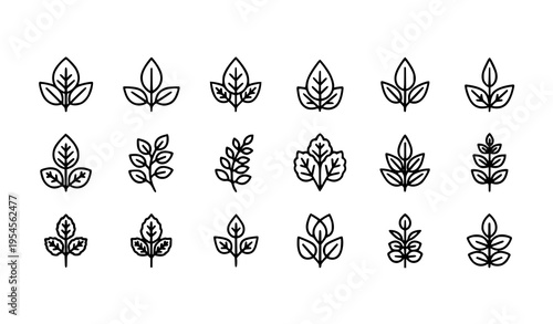 Modern Medicinal Herb Outline Icons Collection with Minimal Botanical Symbols for UI and App Design