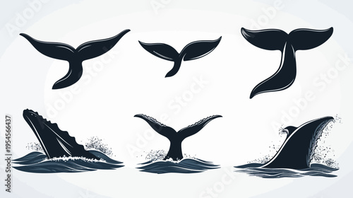Stylized illustrations depicting whale tails and breaches with water elements. Various views on white background