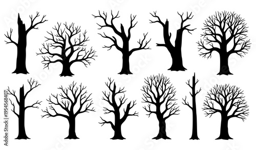 Realistic Dead Tree Silhouettes Set with Detailed Leafless Trunks and Forest Branch Forms in Black Vector Illustration