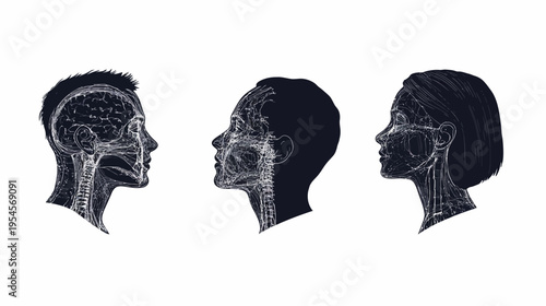 Side profiles of three heads depict internal anatomy. Veins and brain visible. Black and white