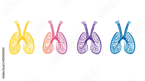Four stylized illustrations of the human lung in different colors yellow, pink, purple, and blue