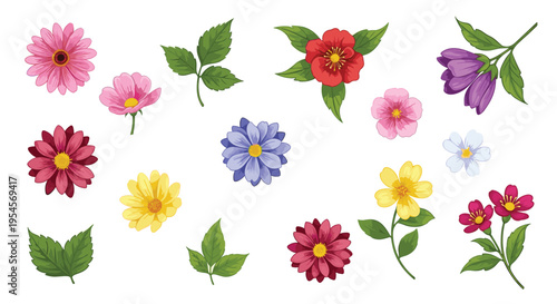 Colorful collection of various individual flower heads and green leaves in pink, red, blue, and yellow shades for botanical patterns.